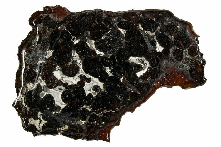 Sericho Pallasite Meteorite ( g) Slice - Kenya #335750